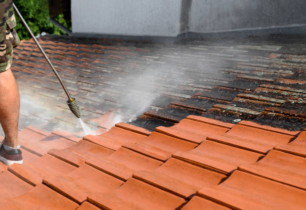 Best Garage Pressure Washing  in Frisco, TX
