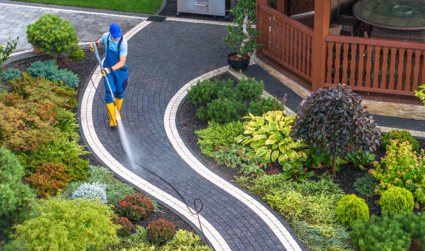 Best Roof Pressure Washing  in Frisco, TX
